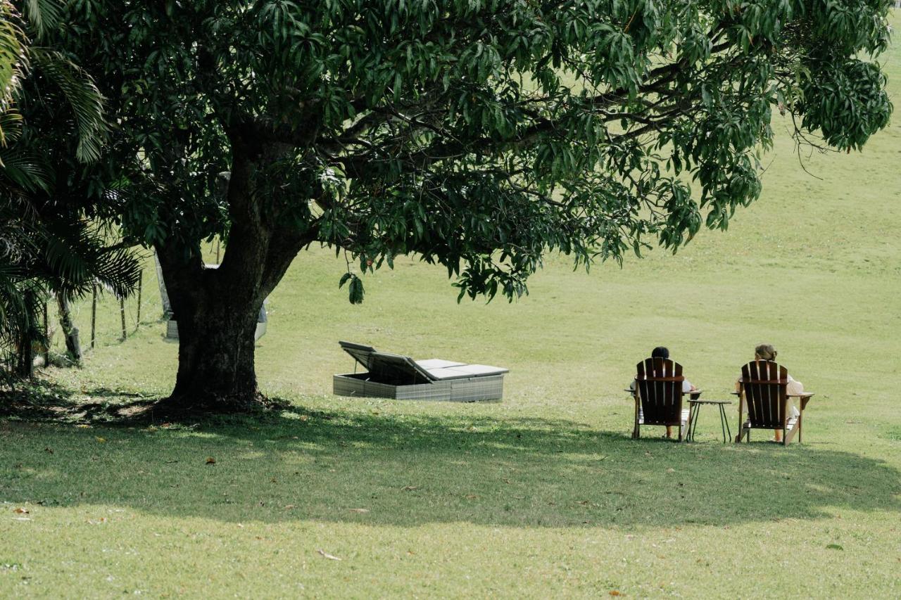 Cape Byron Retreat (Adults Only) Villa Byron Bay Ngoại thất bức ảnh